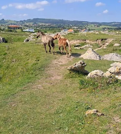 Benedicto Apartamento *