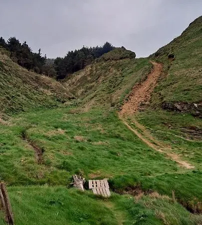 Apartamento Benedicto *