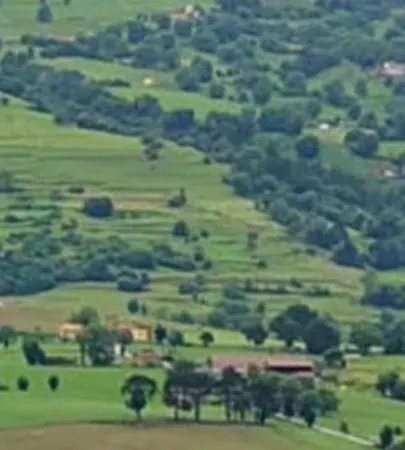 Апартаменты Benedicto