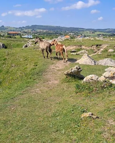 Benedicto Appartement *